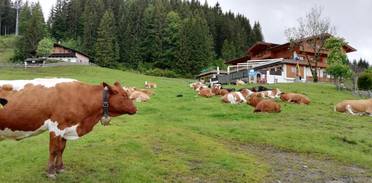 Hotel Berghaus Koglmoos Auffach Exteriér fotografie