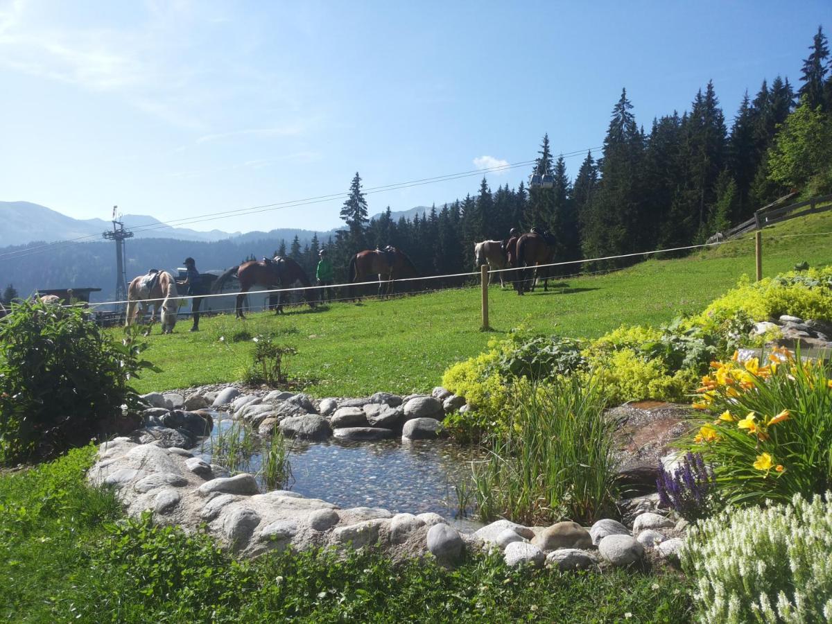 Hotel Berghaus Koglmoos Auffach Exteriér fotografie