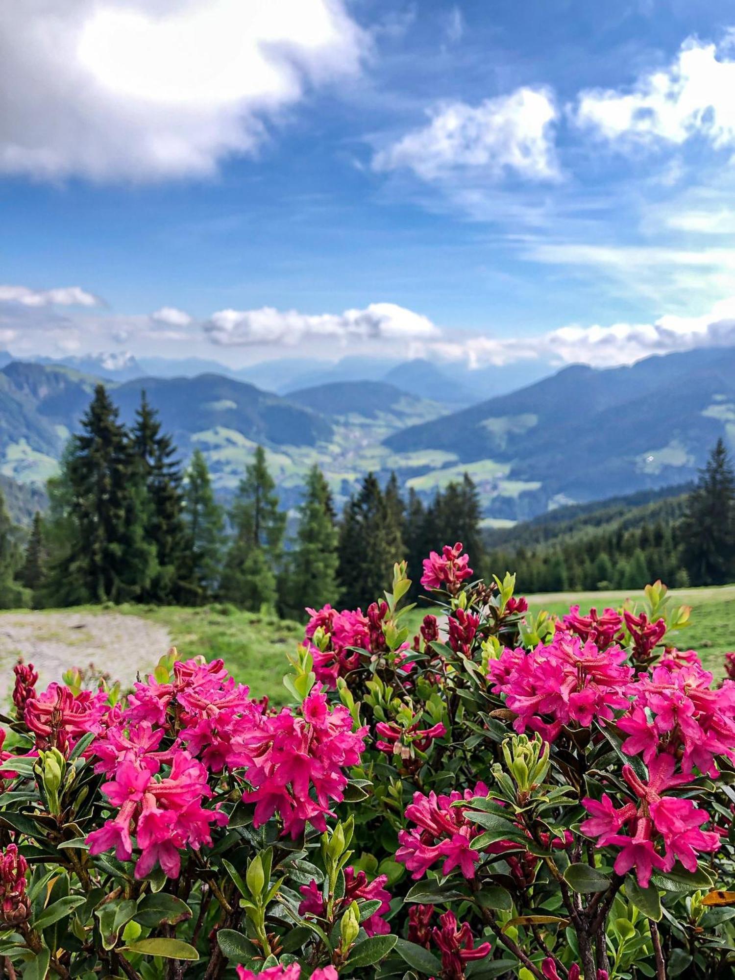 Hotel Berghaus Koglmoos Auffach Exteriér fotografie