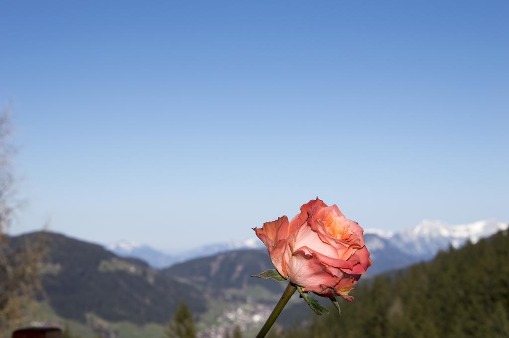 Hotel Berghaus Koglmoos Auffach Exteriér fotografie